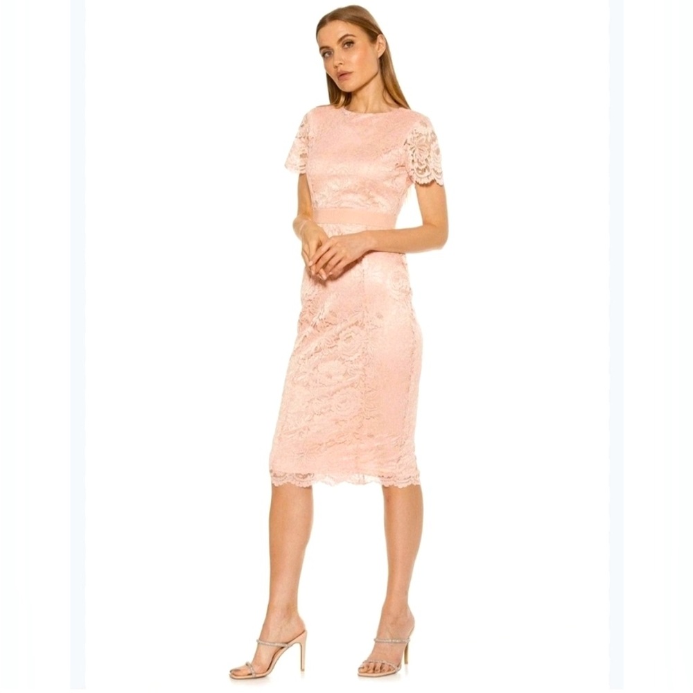 Alexia Admor Lace Cocktail Dress